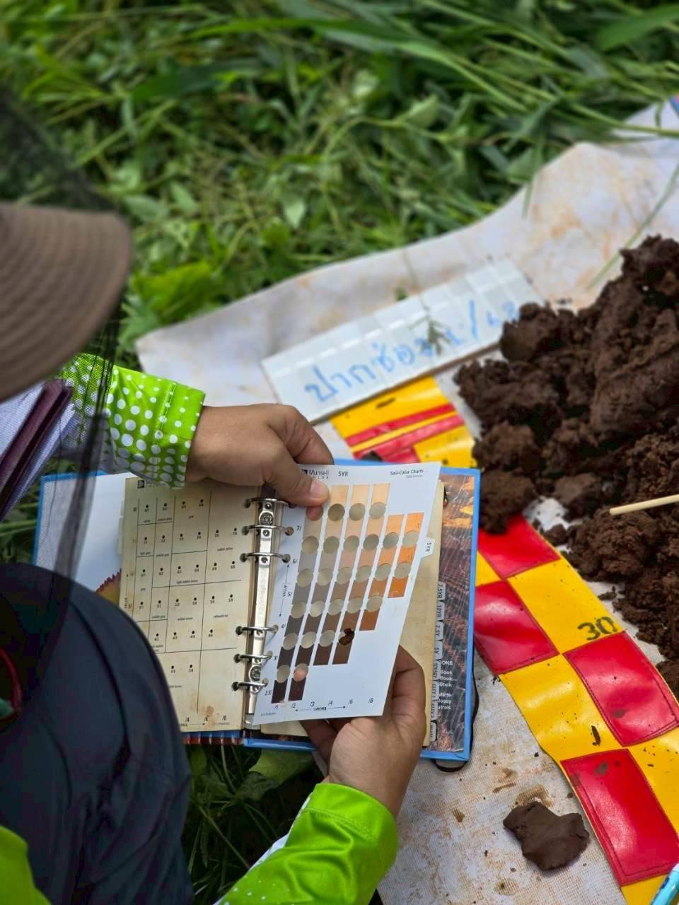 ภาพประกอบที่ 7