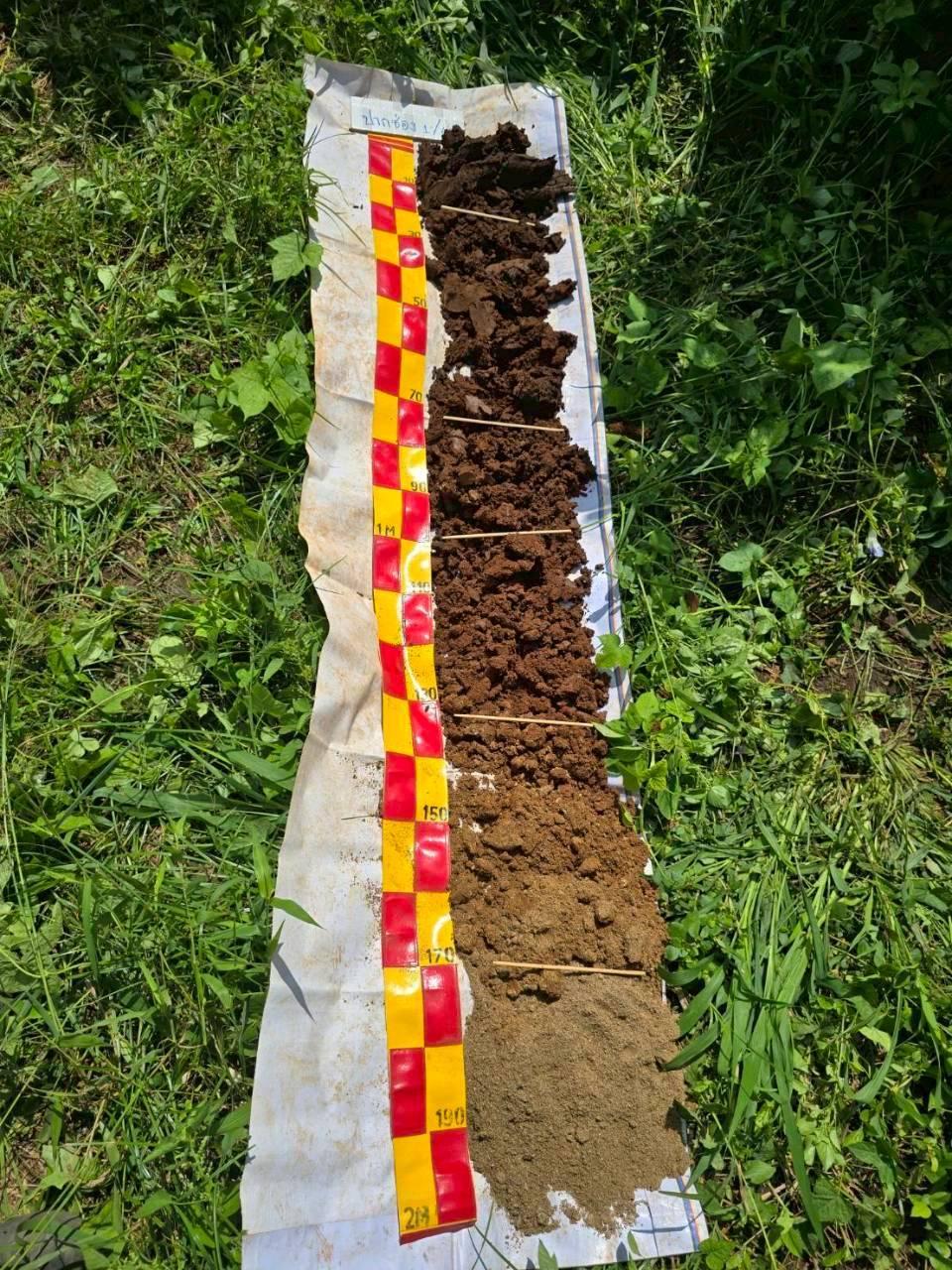 ภาพประกอบที่ 8