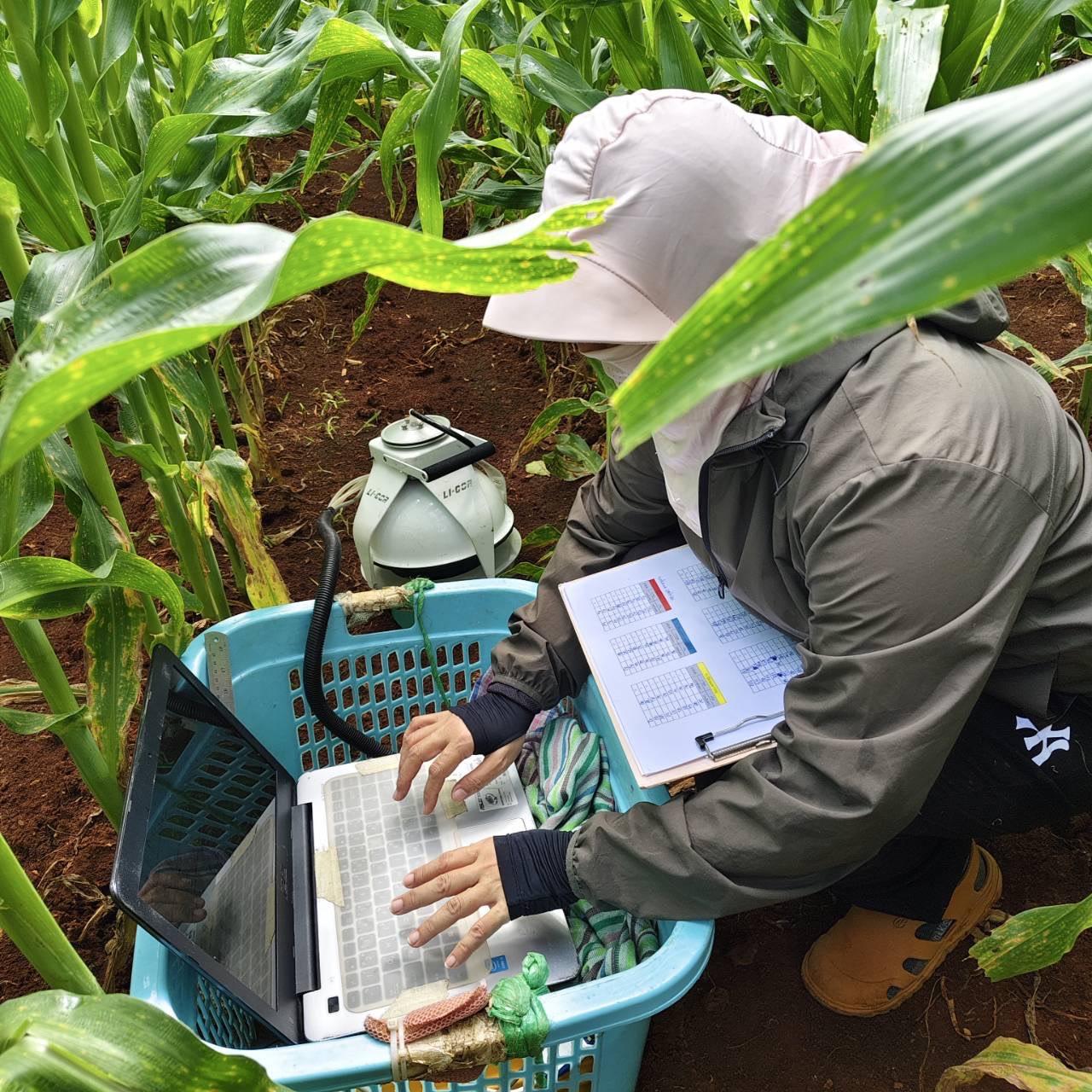 ภาพประกอบที่ 5