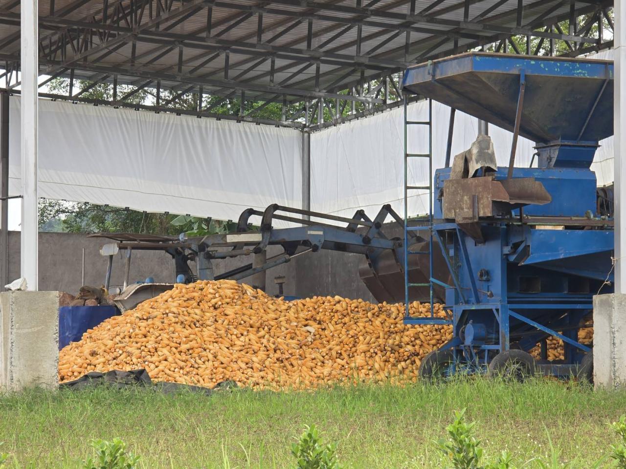 ภาพประกอบที่ 9