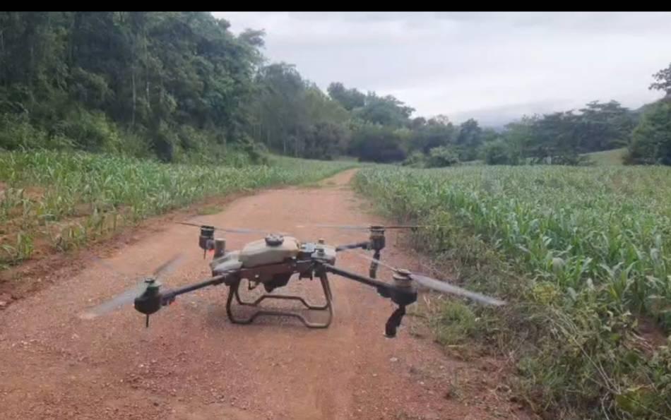 ภาพประกอบที่ 10