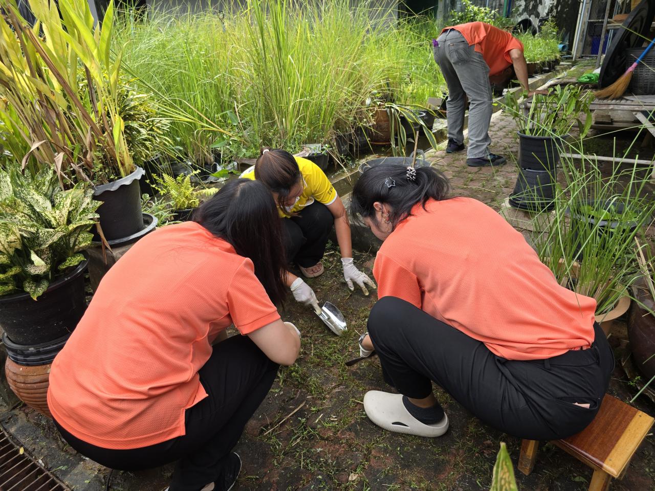 ภาพประกอบที่ 9