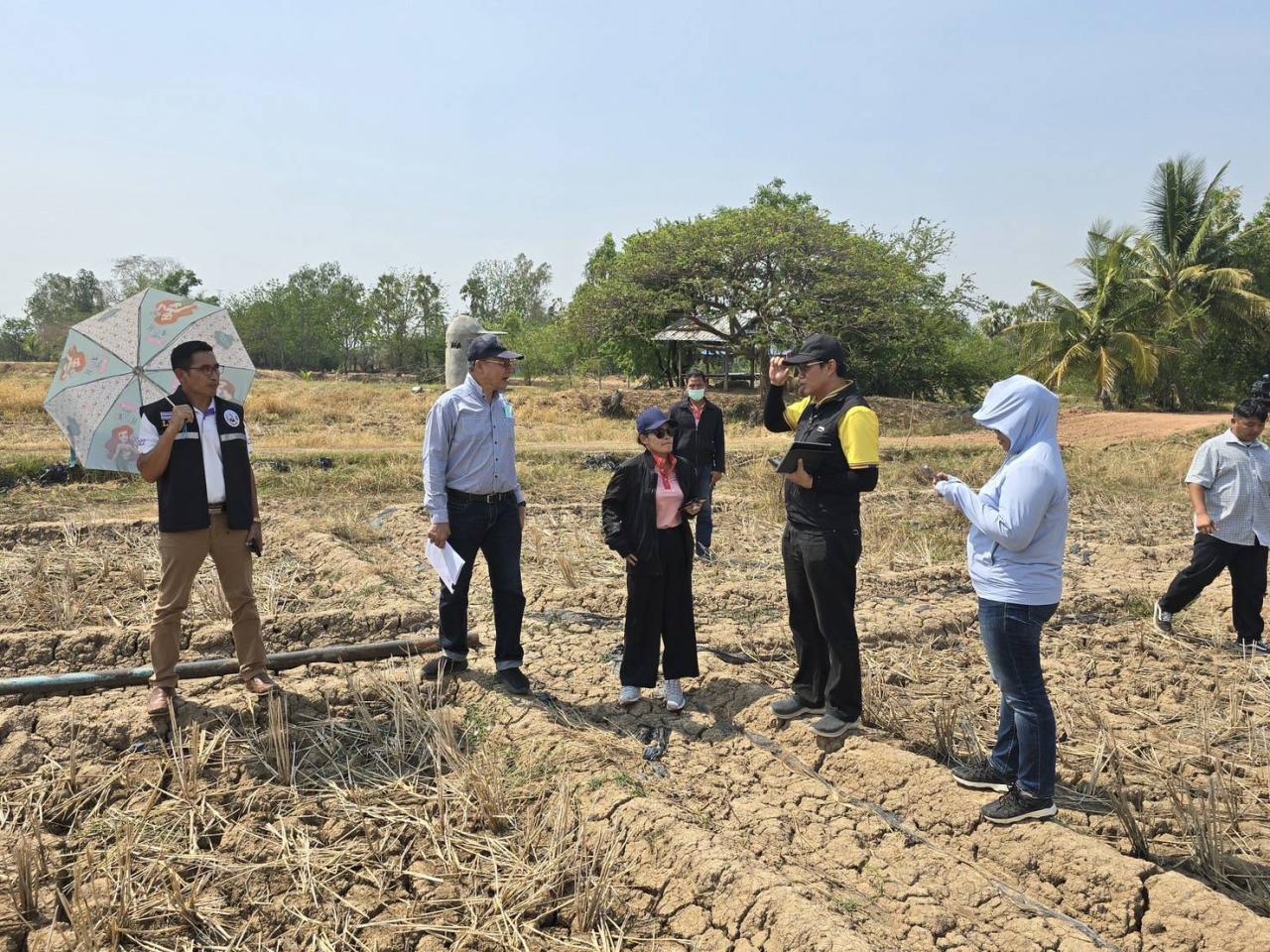 ภาพประกอบที่ 5