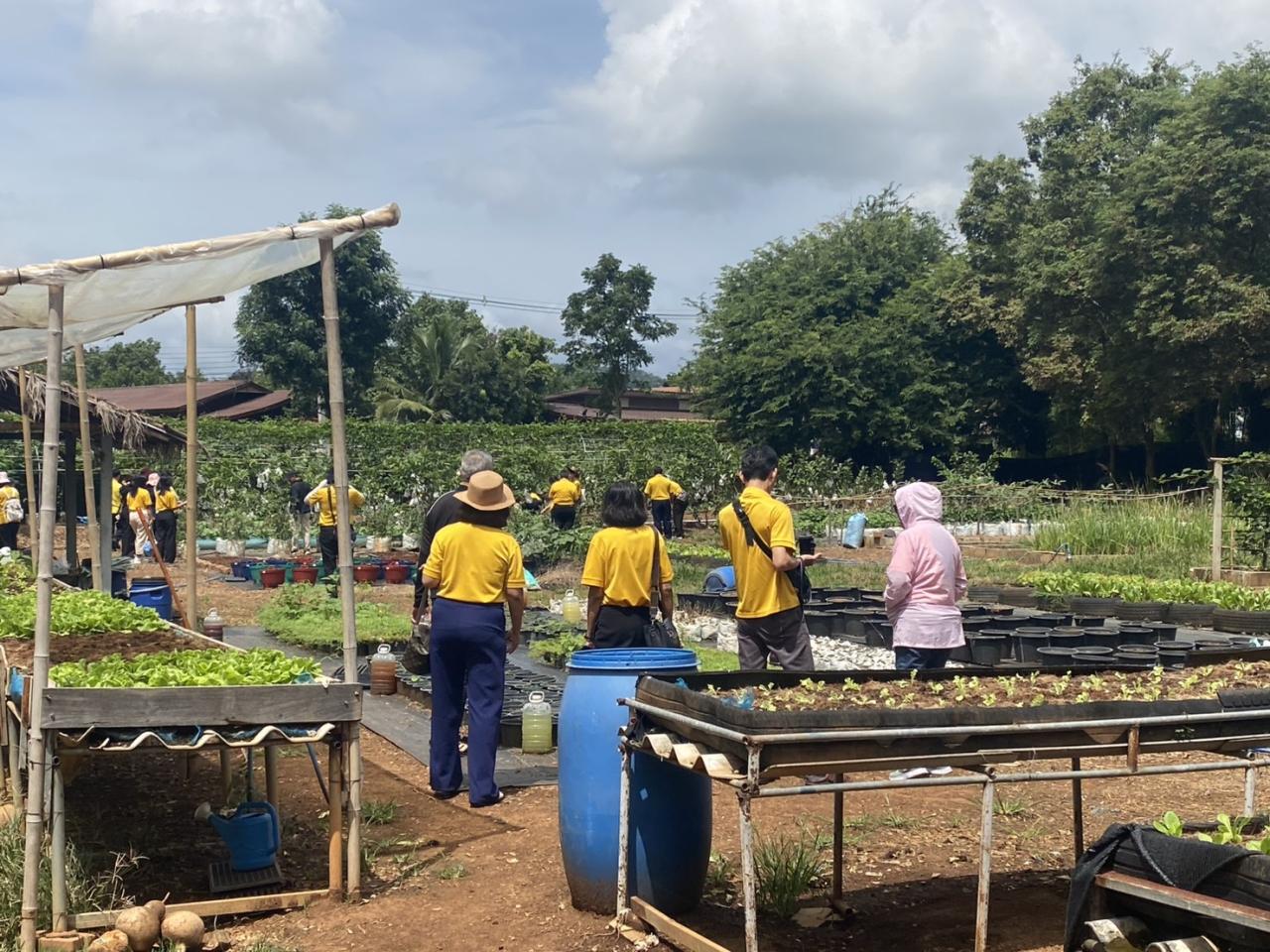 ภาพประกอบที่ 1