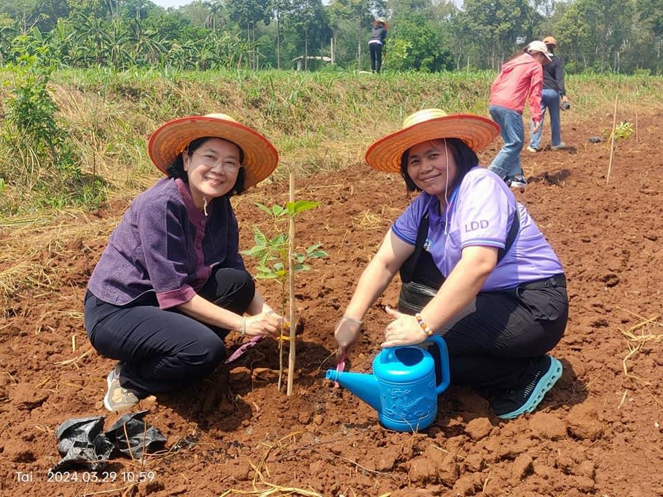 ภาพประกอบที่ 4