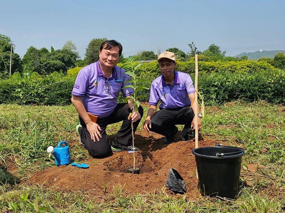 ภาพประกอบที่ 12