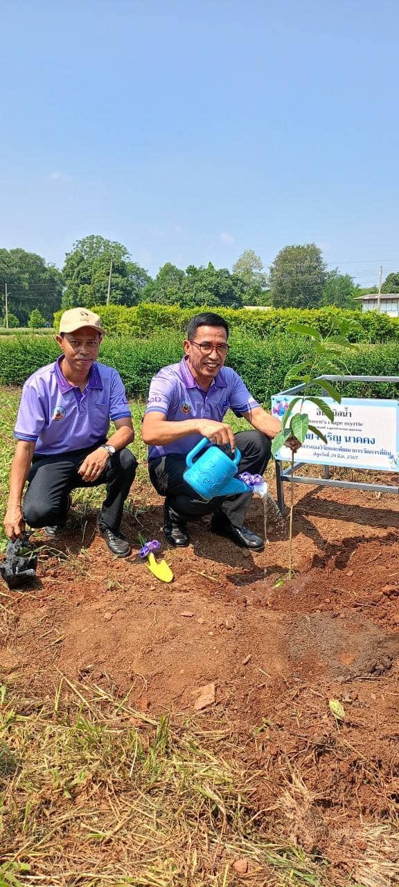 ภาพประกอบที่ 13