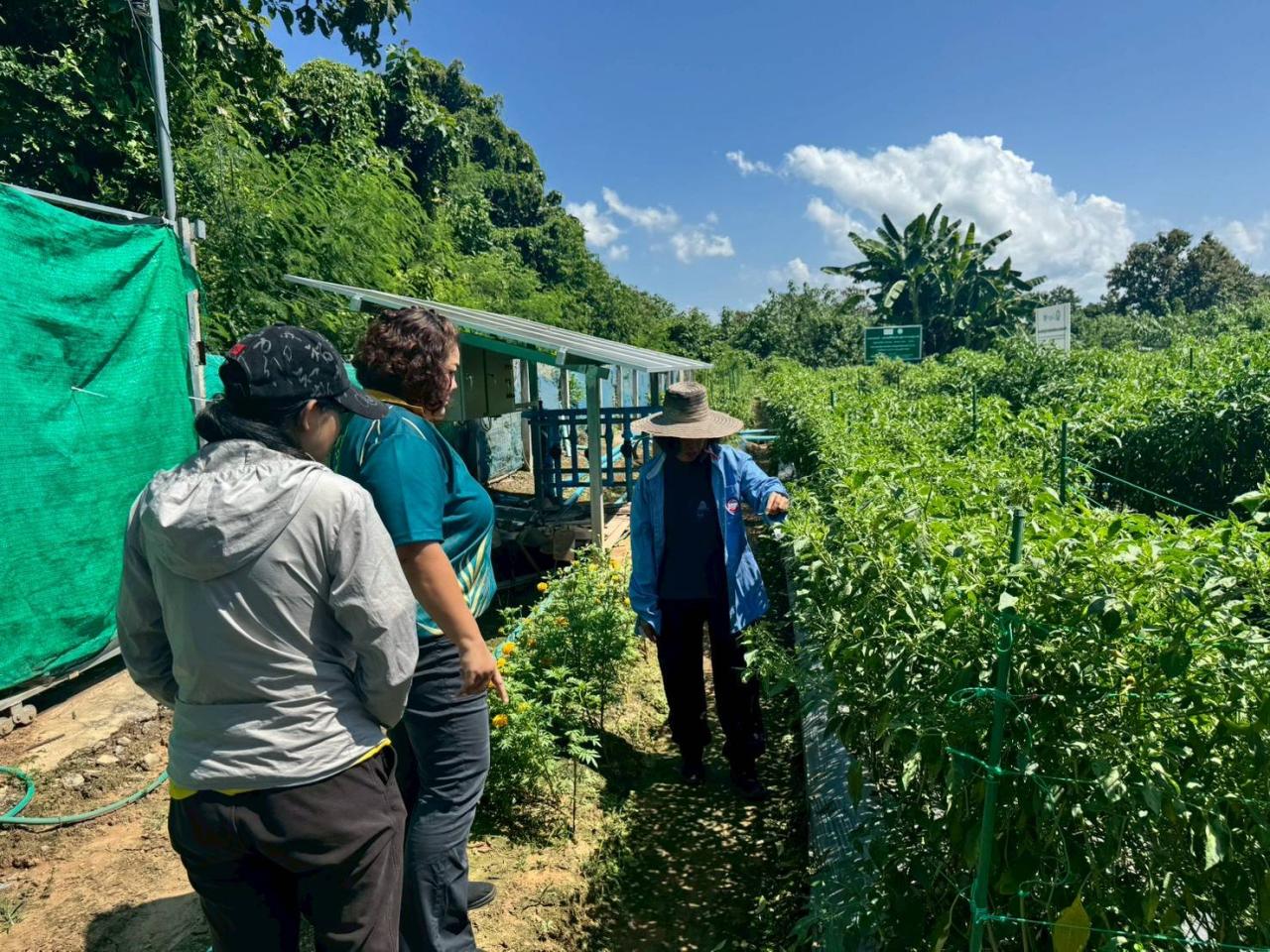 ภาพประกอบที่ 2