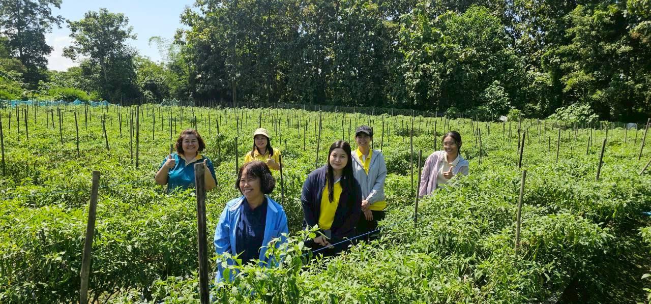 ภาพประกอบที่ 3