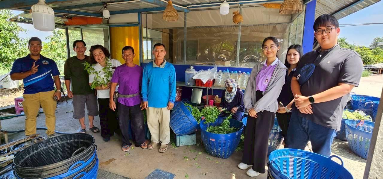 ภาพประกอบที่ 1