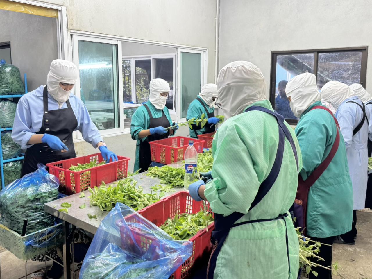 ภาพประกอบที่ 3