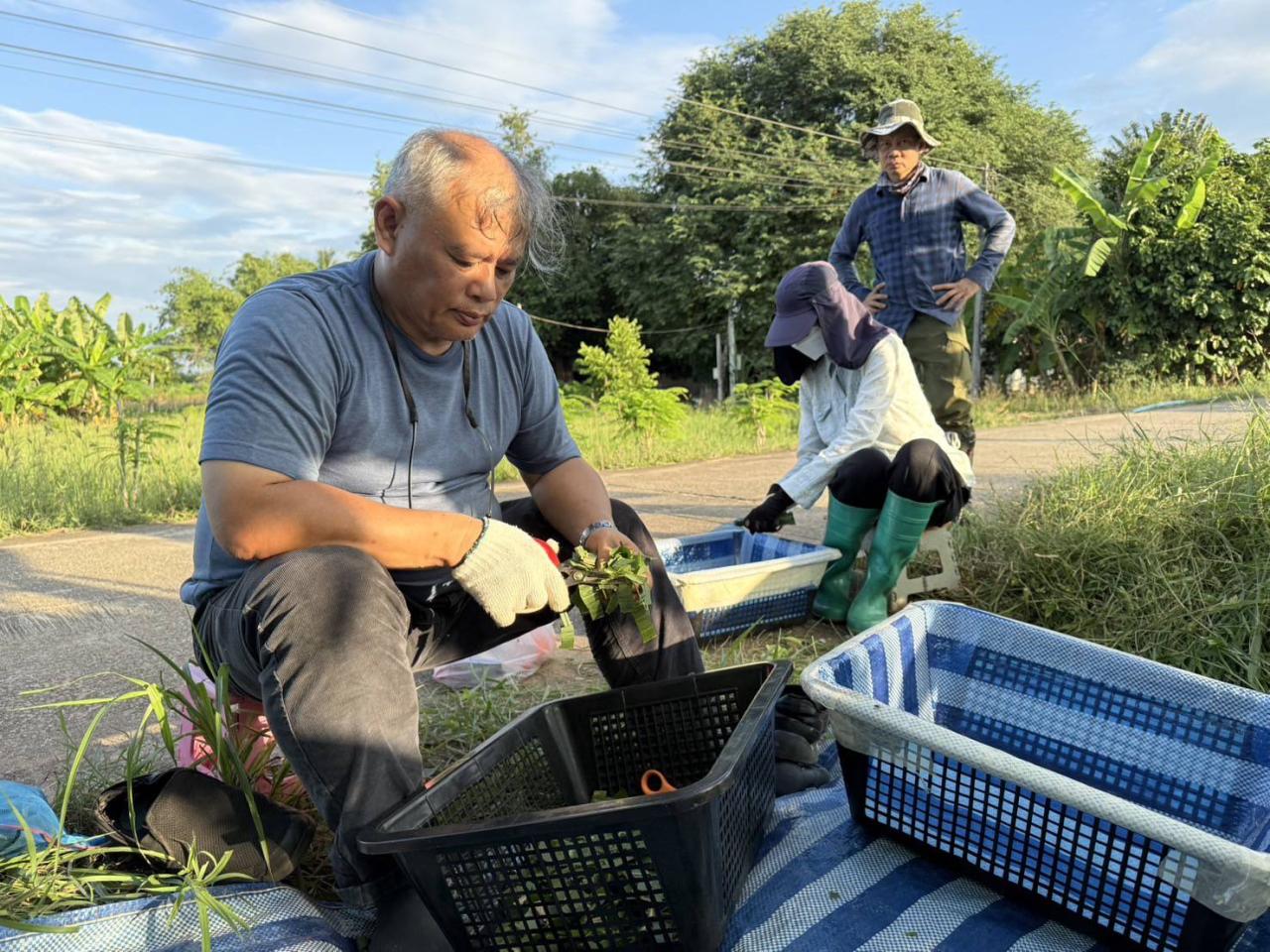 ภาพประกอบที่ 0
