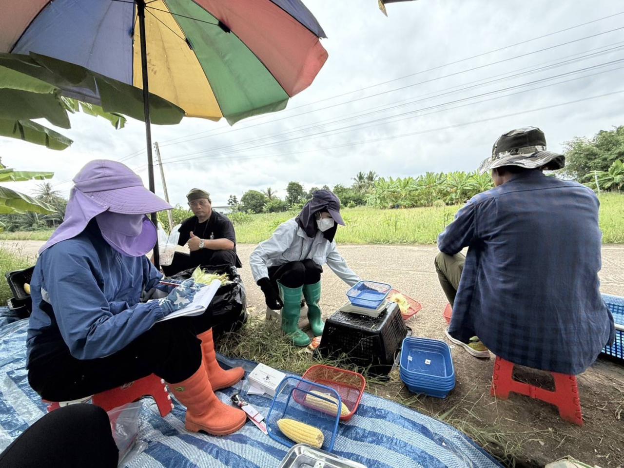 ภาพประกอบที่ 1