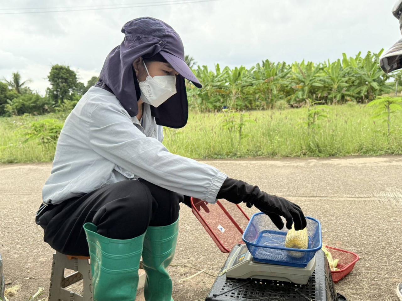 ภาพประกอบที่ 2