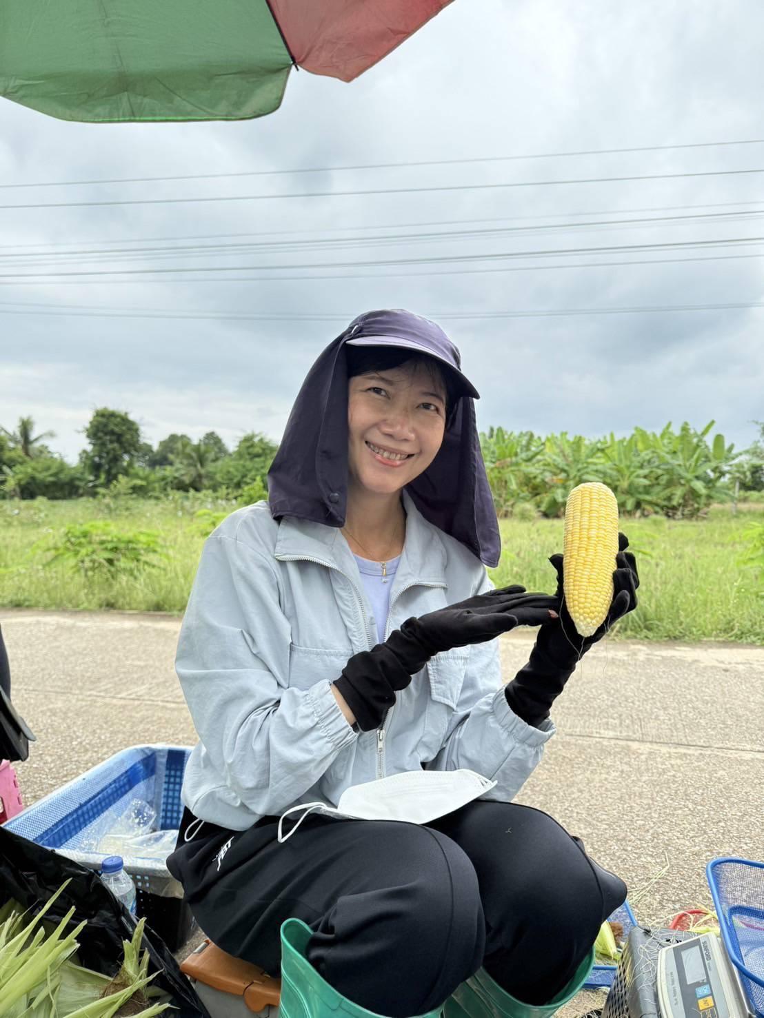 ภาพประกอบที่ 3