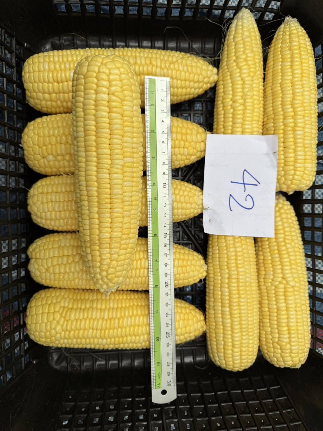 ภาพประกอบที่ 6