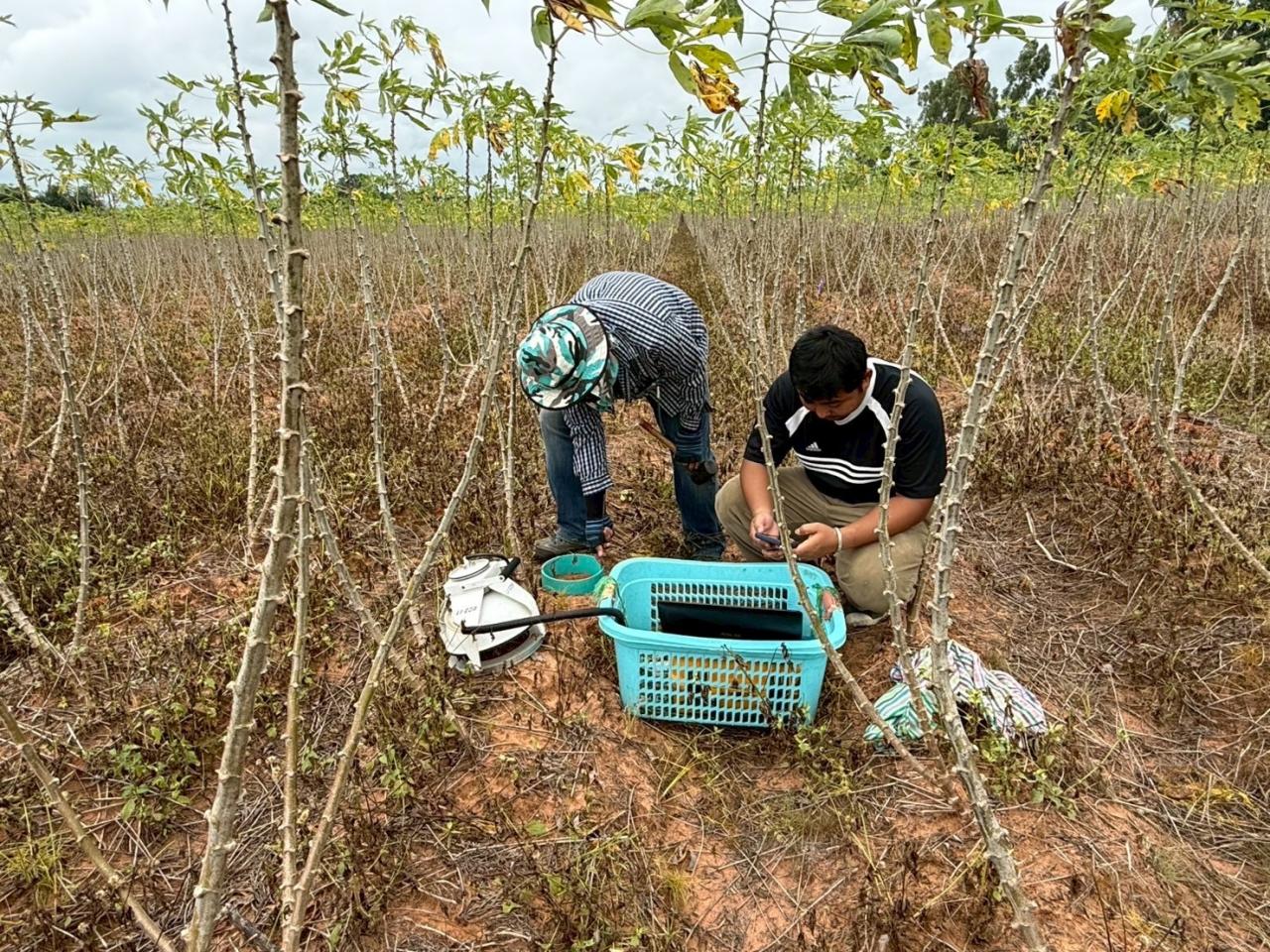 ภาพประกอบที่ 1