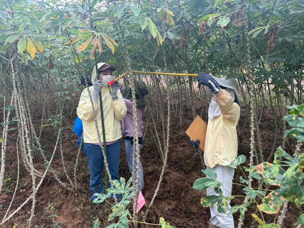 ภาพประกอบที่ 3