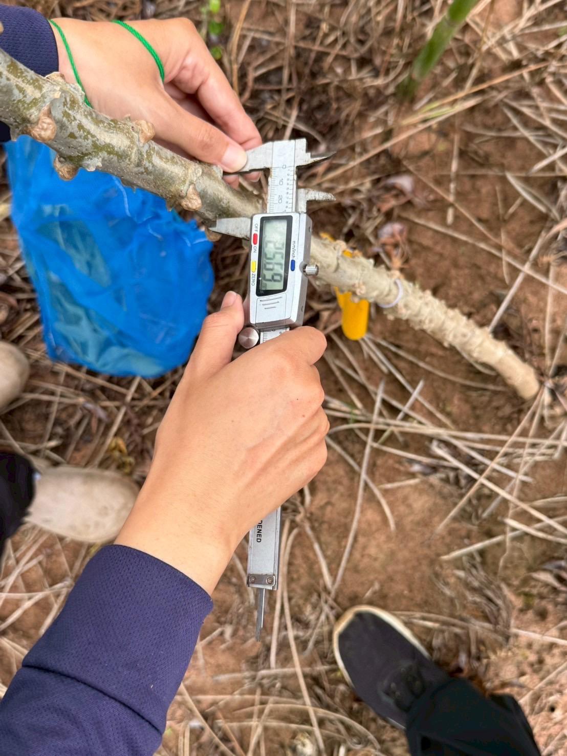 ภาพประกอบที่ 5