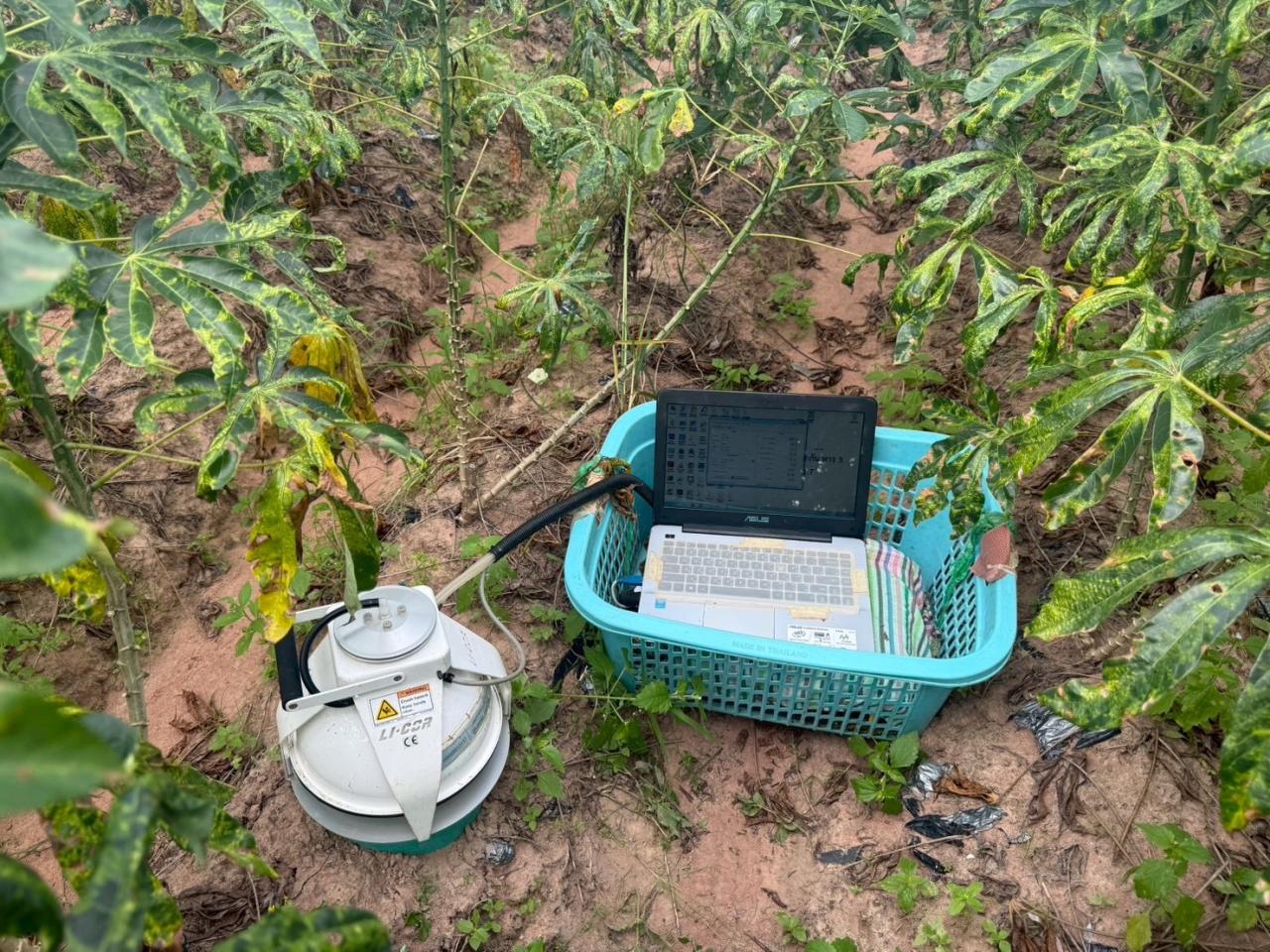 ภาพประกอบที่ 6