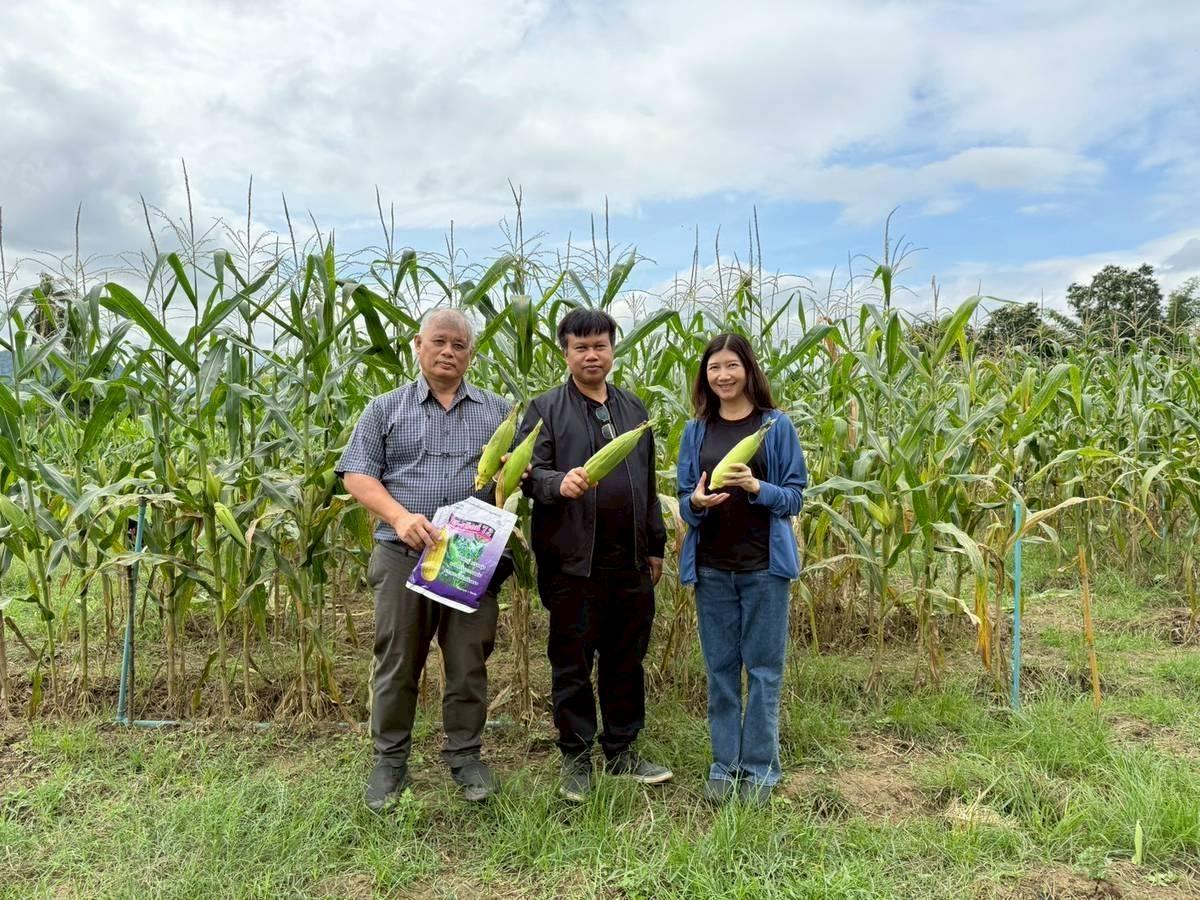 ภาพประกอบที่ 1