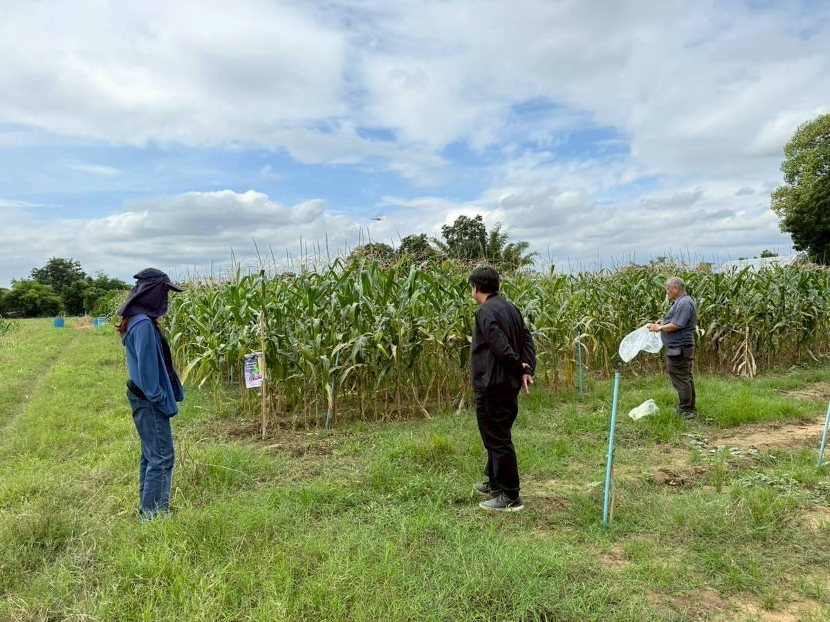 ภาพประกอบที่ 2