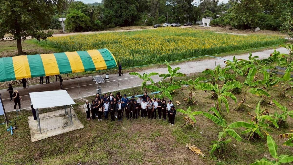 ภาพประกอบที่ 4