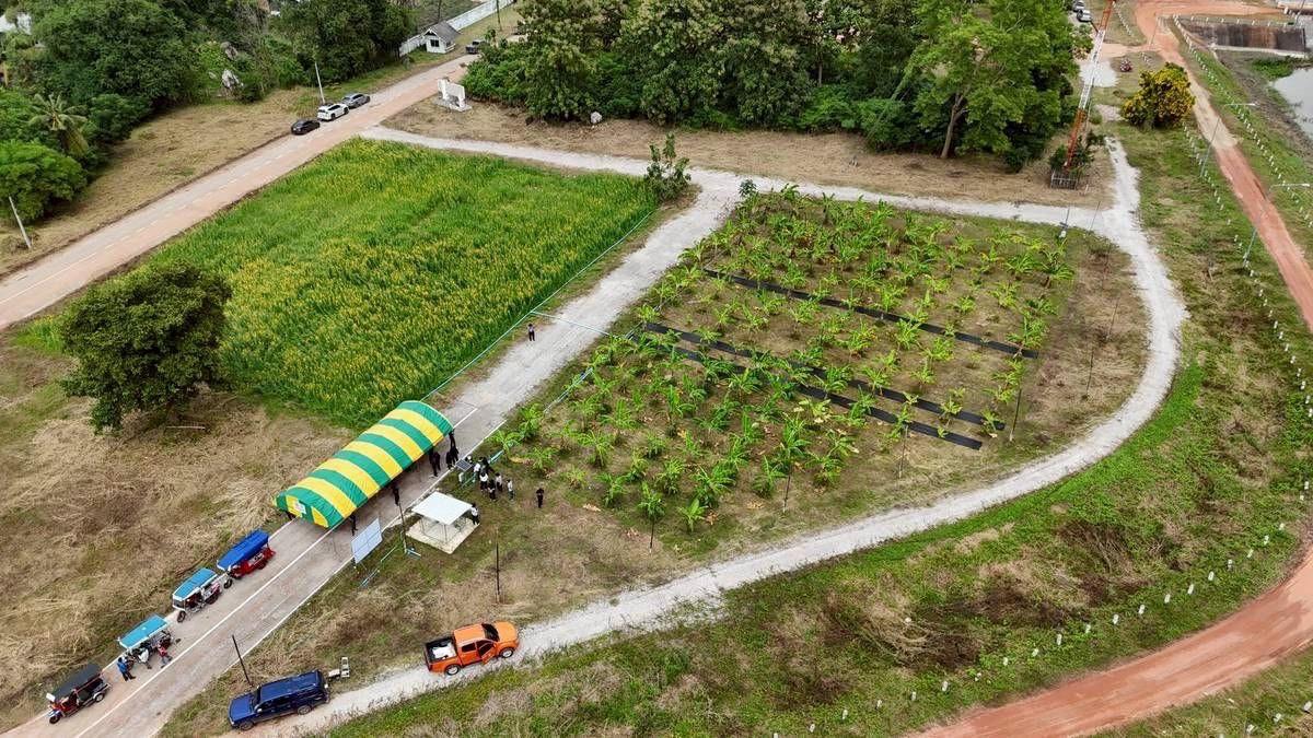 ภาพประกอบที่ 10