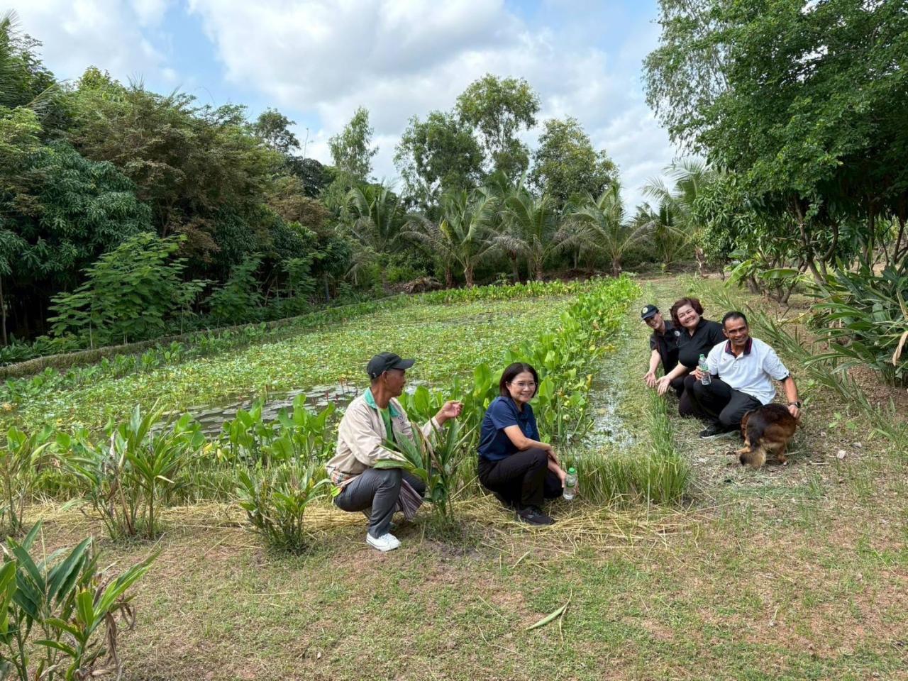 ภาพประกอบที่ 8