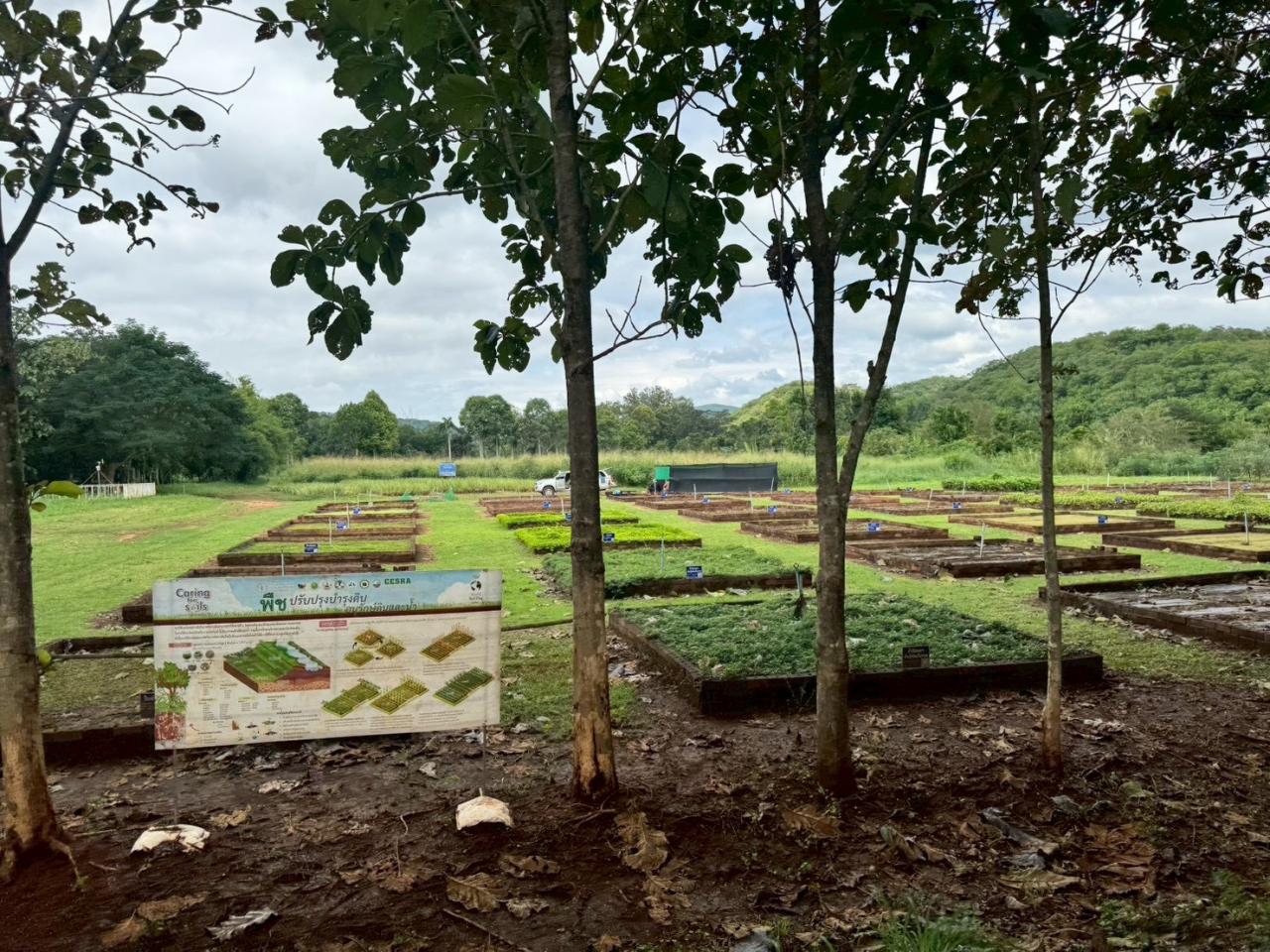 ภาพประกอบที่ 6