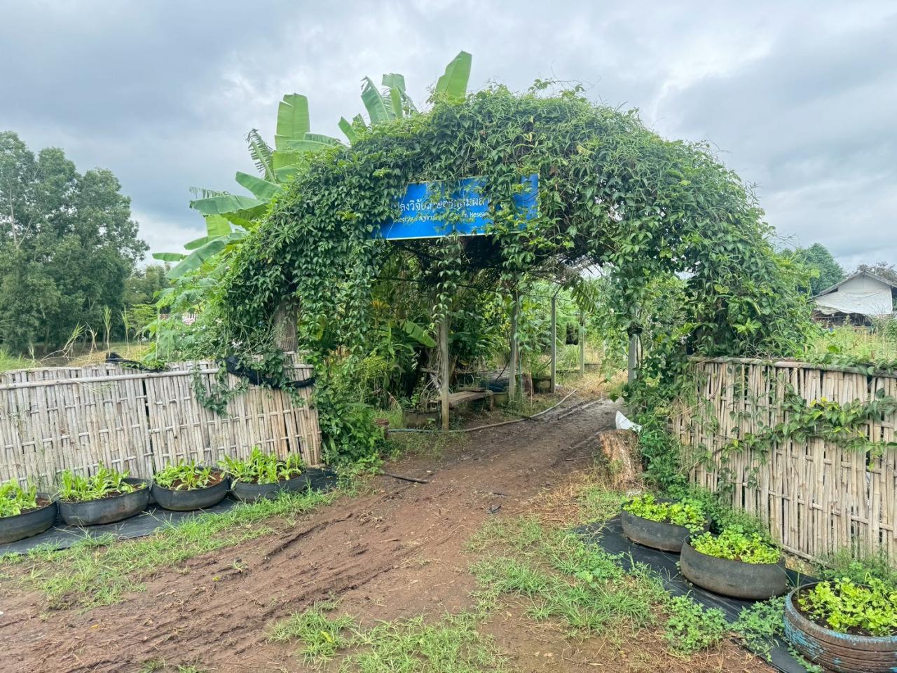 ภาพประกอบที่ 7