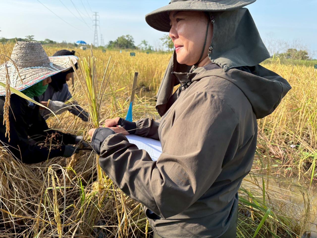 ภาพประกอบที่ 1