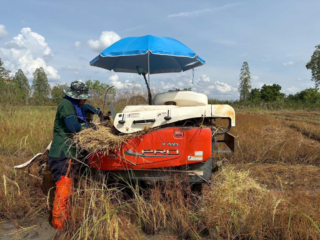 ภาพประกอบที่ 6