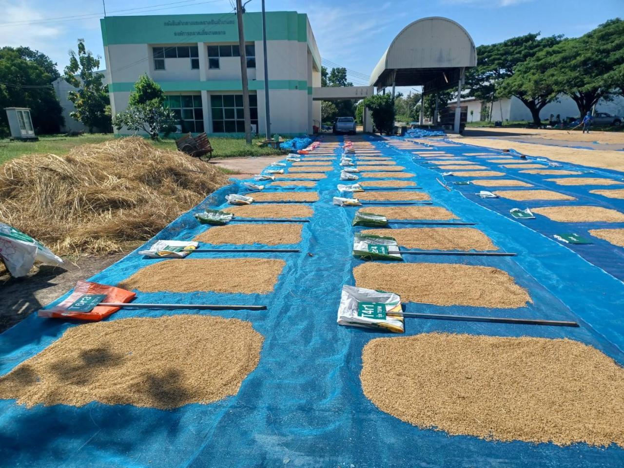 ภาพประกอบที่ 7