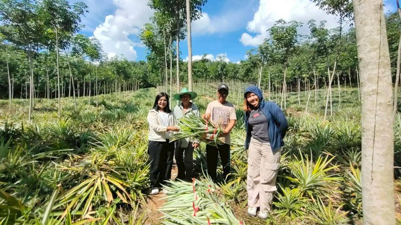 ภาพประกอบที่ 1