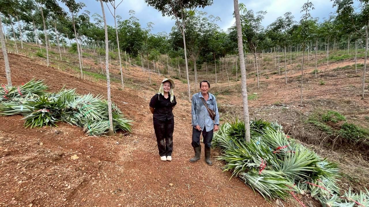 ภาพประกอบที่ 3