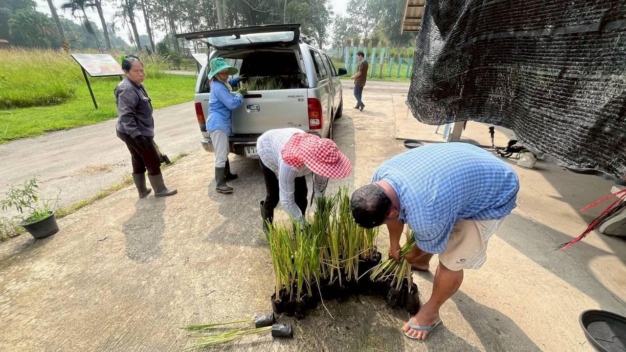 ภาพประกอบที่ 5