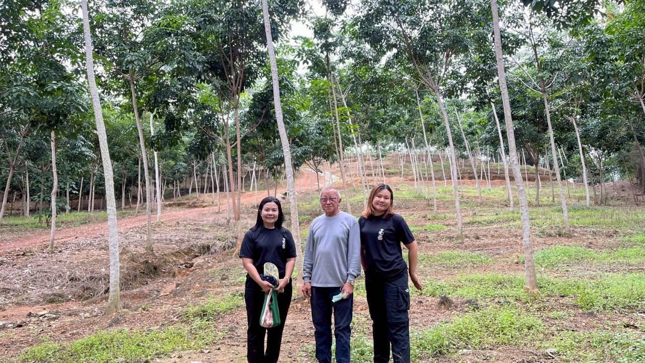 ภาพประกอบที่ 8