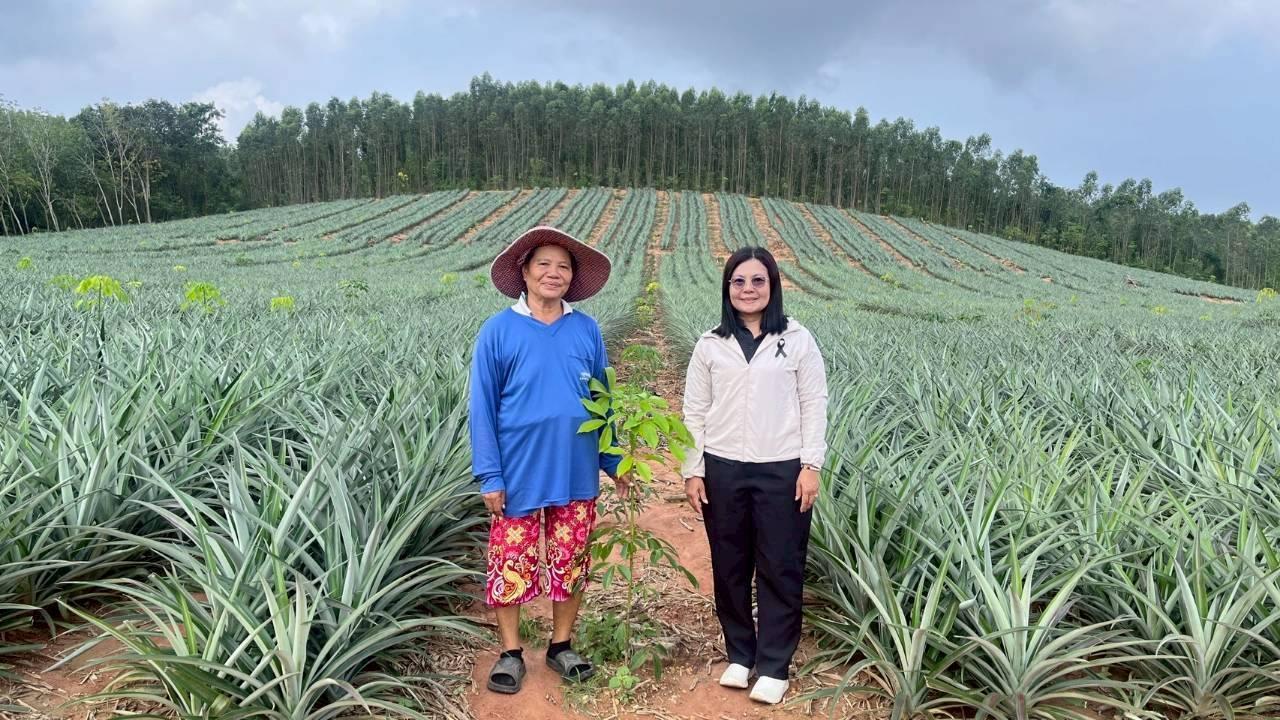 ภาพประกอบที่ 9