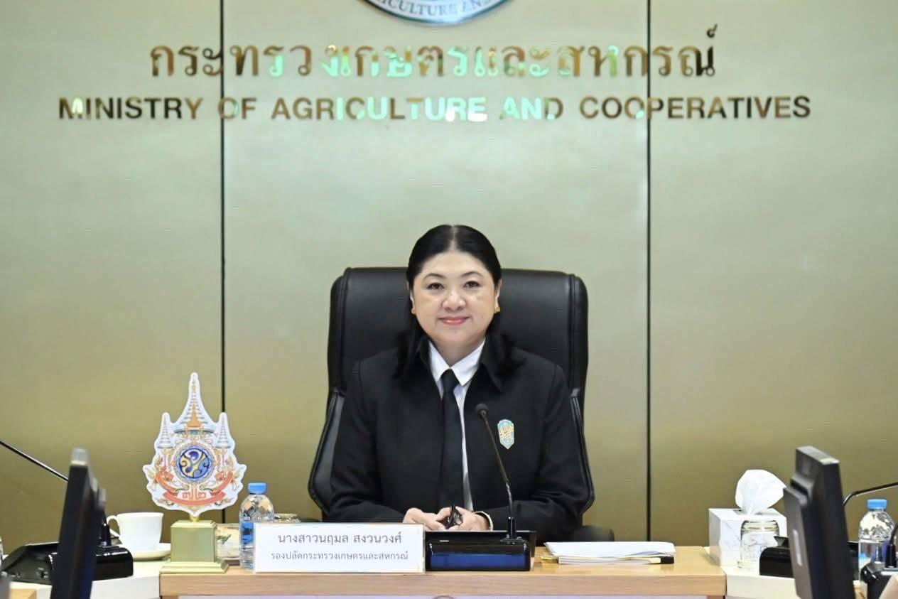 ภาพประกอบที่ 0