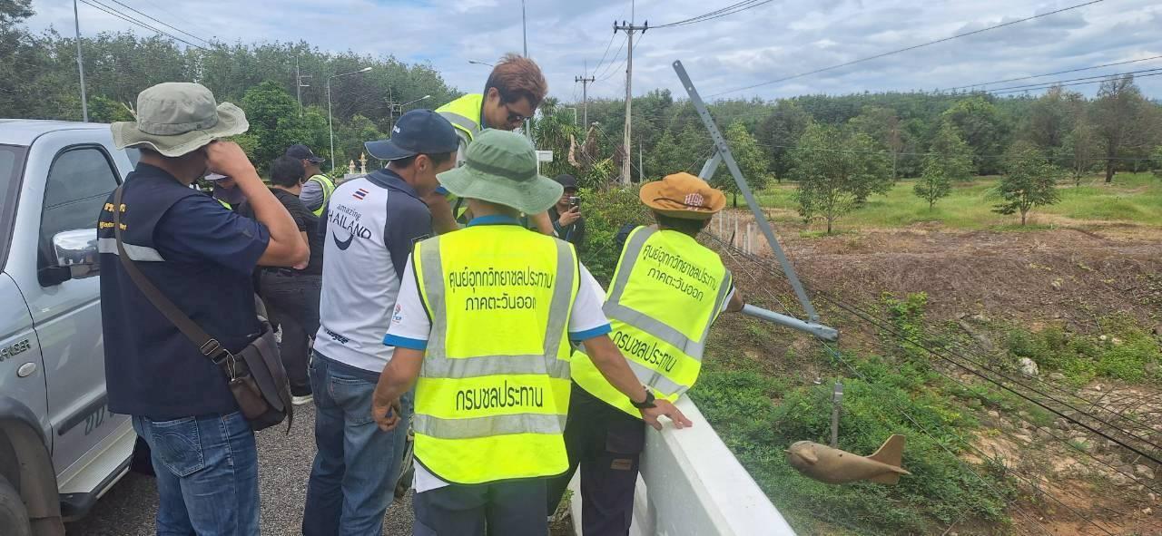 ภาพประกอบที่ 4