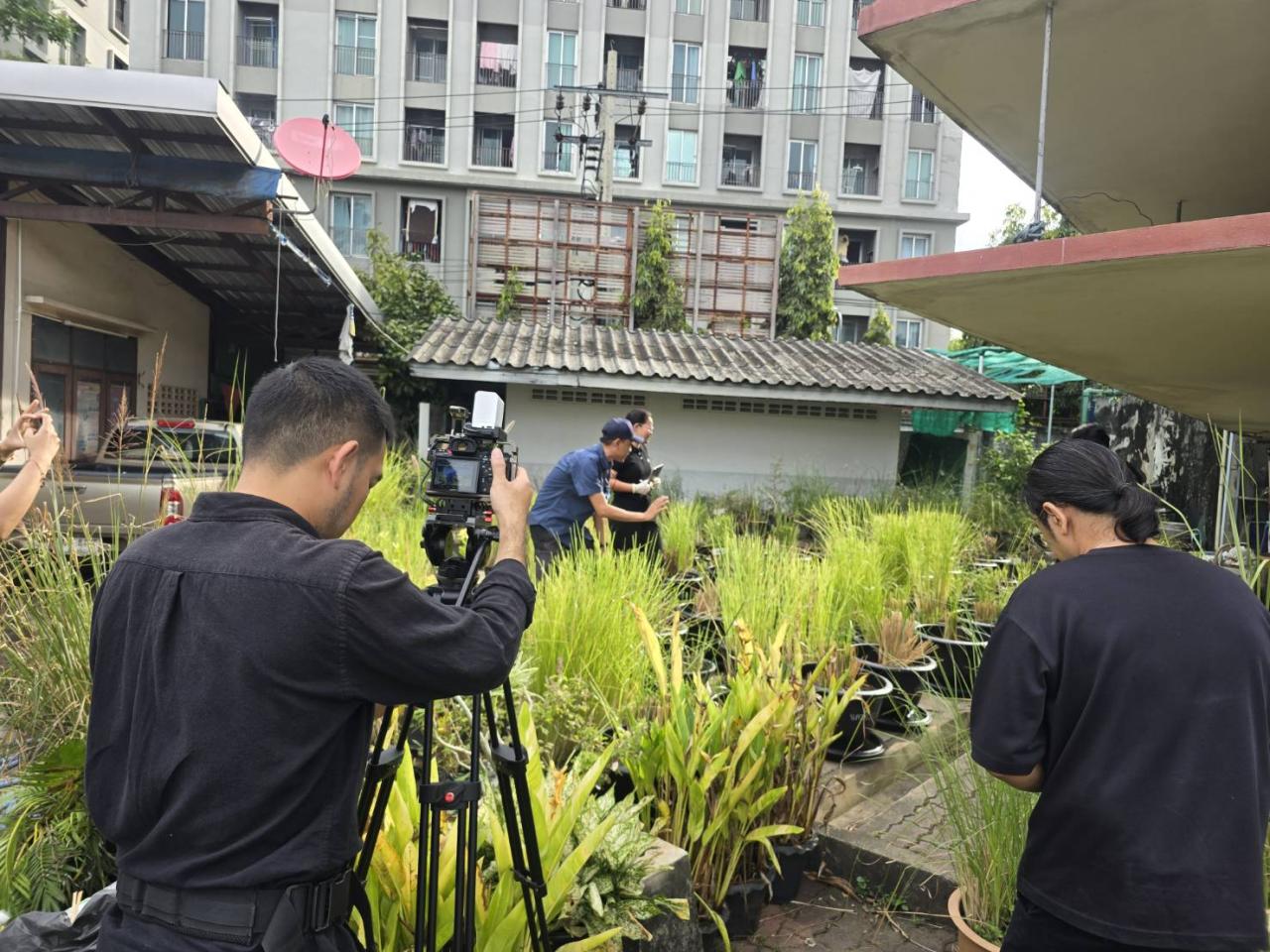 ภาพประกอบที่ 0