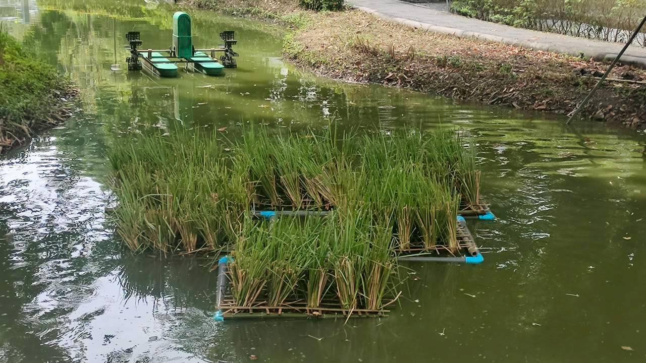 ภาพประกอบที่ 2