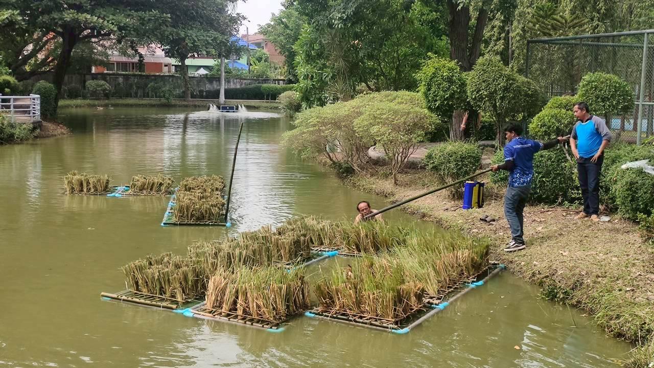 ภาพประกอบที่ 3