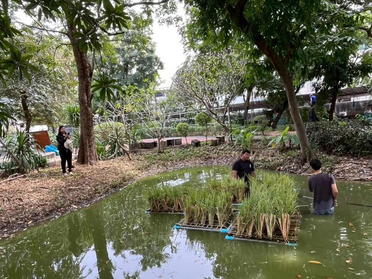 ภาพประกอบที่ 6