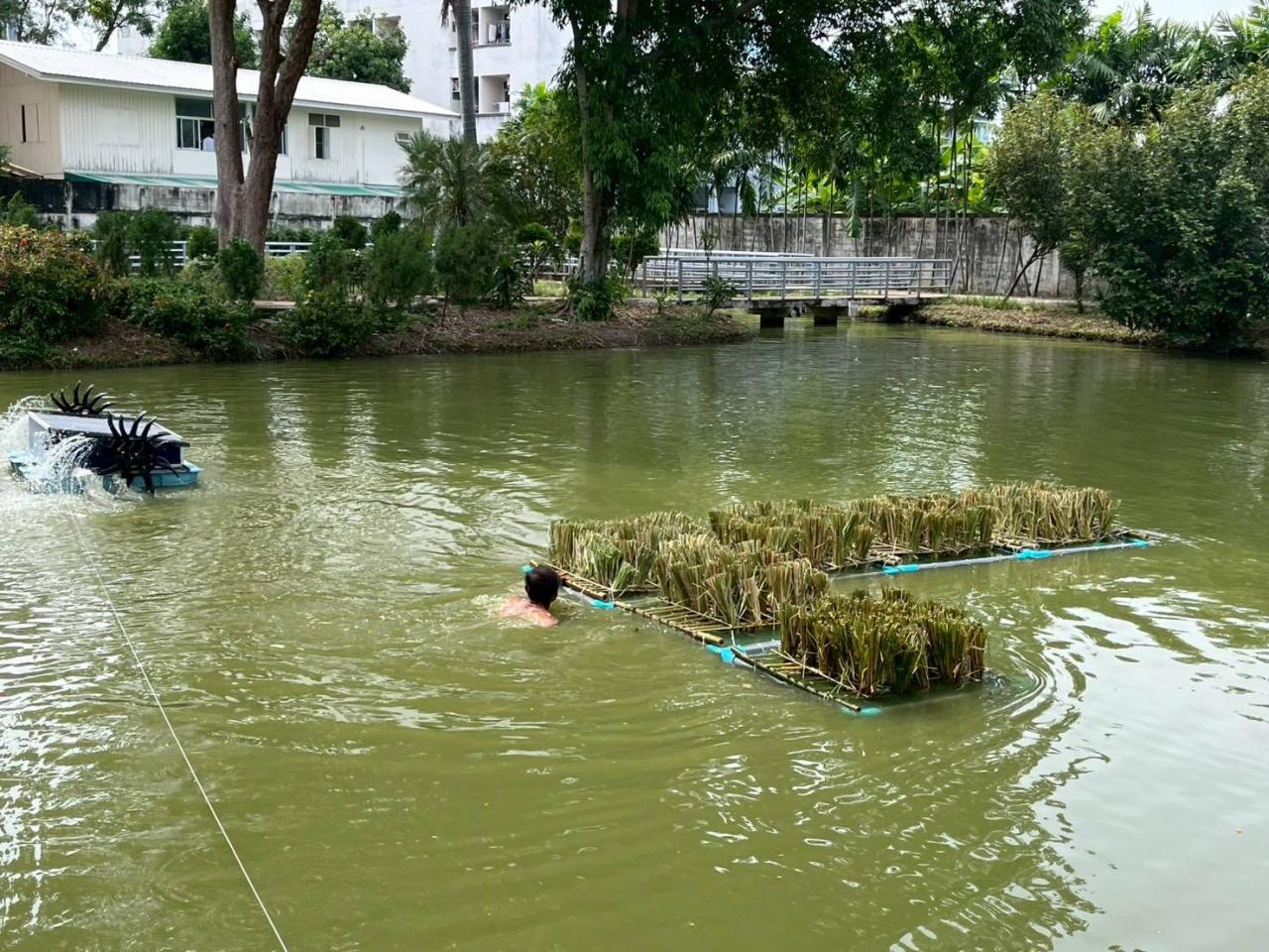 ภาพประกอบที่ 7