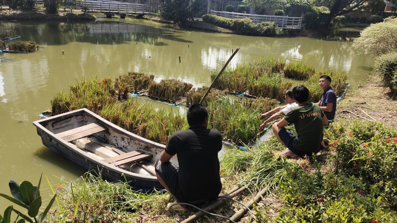 ภาพประกอบที่ 8