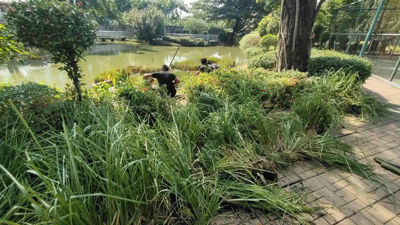 ภาพประกอบที่ 9