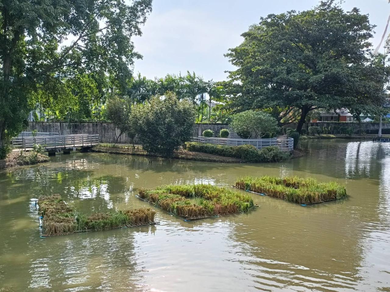 ภาพประกอบที่ 10