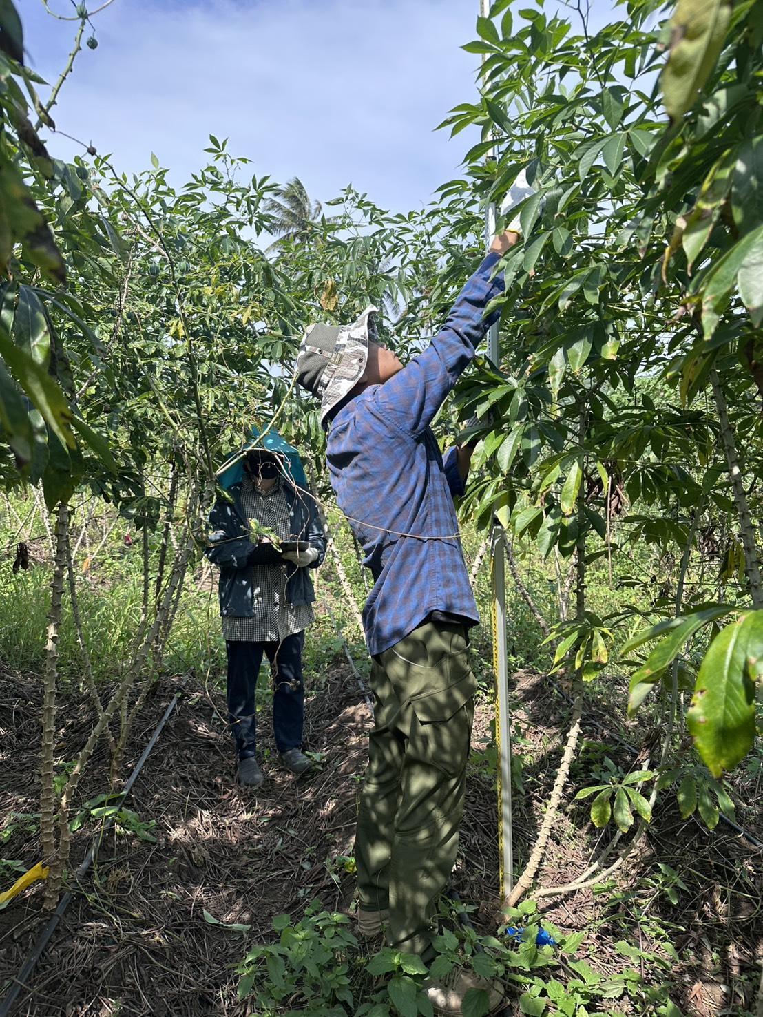 ภาพประกอบที่ 2